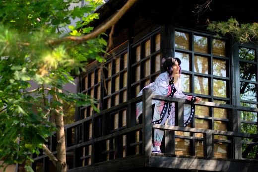 �1758951 �������(a): ����������:2560x1706